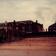 Desertshore - Mariette (feat. Mark Kozelek)