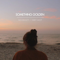 No Diggity / Thrift Shop