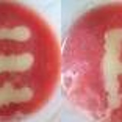 raissa-terjebak nostalgia