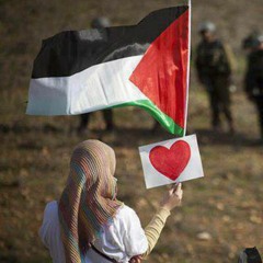 حلوة يا بلدي - فلسطين
