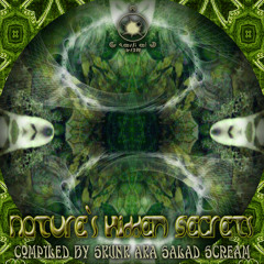 Pholiot Mind's - Tent Witch ( point of view music V.A natures hidden secrets)