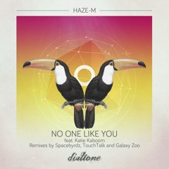 Haze-M Feat Katie Kboom -Unknown Pleasures (Original Mix)[Dialtone Recs] out 26-08