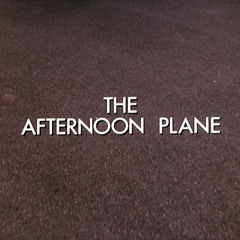 Gina Calabrese - The afternoon plane