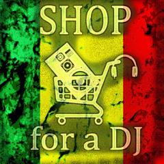 Matisyahu - Searchin(Shop for a Dj remix)