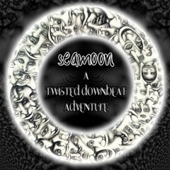 05 - Seamoon - Chill Spice (Chillbase - Ektoplazm 2010)