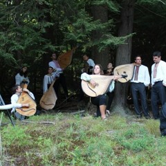 Field,Forest, and Sky