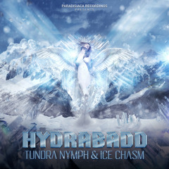 HYDRABADD - Ice Chasm (813 Remix)