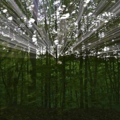 aṣK (thE Garden)