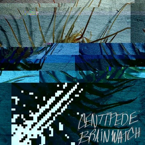 Brainwatch Stream Centipede by Brainwatch | Listen online for free on SoundCloud