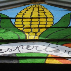 ..::AcUsTiCoSaS::.. Jorge Salinas Jardón en La Escuelita (México)