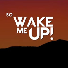 Avicii - Wake me up (tony pinto' mashup)