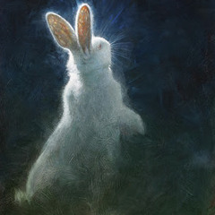 White Rabbit Syndrome - The Magic Rabbit