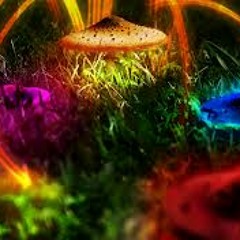 Psychedelic Trip (Live Set 2013)