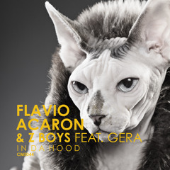 Flavio Acaron & Z Boys feat. Gera - In Da Hood