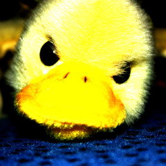 theWhiZkid @ What the Duck? o.O