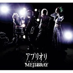 Mejibray - RISK:er