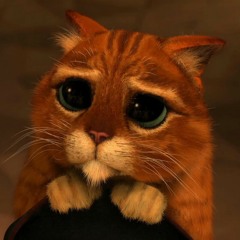 Los Indomables De Cedral Escuché Las Golondrinas