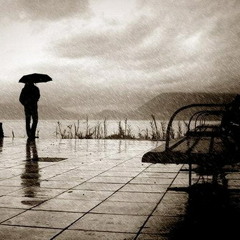 Without You