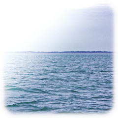 F▲lti∫ chimer▲