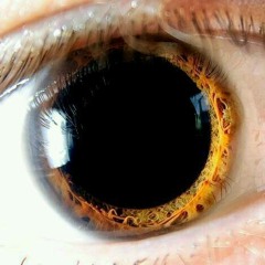 Headbanger & Wizone - Get Freaky (xoxo)