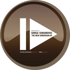 Sinisa Tamamovic - The New Dimension