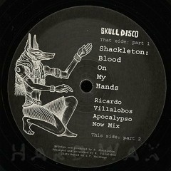 Shackleton - Blood On My Hands(Ricardo Villalobos Apocalypso mix)