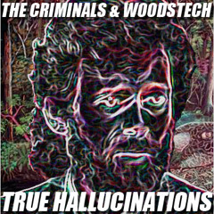 The Criminals & Woodstech - True Hallucinations