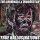 on The Criminals &amp; Woodstech - True Hallucinations