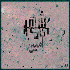 Amin-Shahrangi [Prod.By Navid]