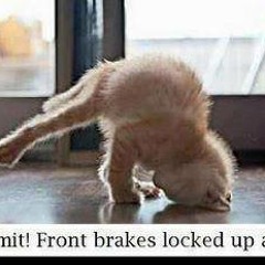 WWE Al Abd Wl Shitan Version!!! .WWE Superstar Amr M.O.N.E.M. Theme Song [I am the Dam Egyptian]]]