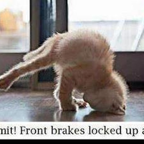 WWE Al Abd Wl Shitan Version!!! .WWE Superstar Amr M.O.N.E.M. Theme Song [I am the Dam Egyptian]]]