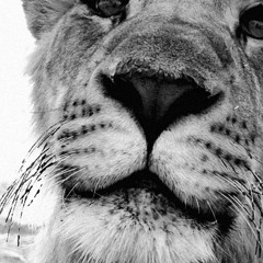 Flight MI0004 - Smala