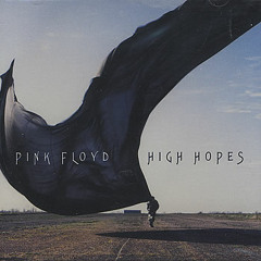 Pink Floyd High Hopes Cover (Music By; DarkSkye)