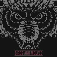 Birds and Wolves - Mesto - 2013