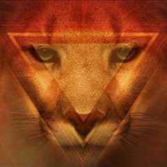 Cougar Synth - Weird Fantasy (Betamaxx Remix/Free Download)