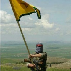 Seyda Perinçek - YPG