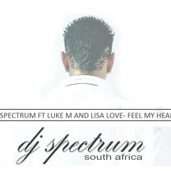 Spectrum Ft Luke M And Lisa Love- Feel My Heart