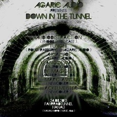 AudioDistraction @ Down In The Tunnel 24.08.2013