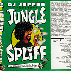 DJ Jeffee // Jungle Spliff, Side B