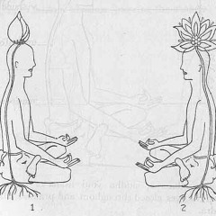 Meditation on Twin Hearts/ تأمل على القلبين التوأمين