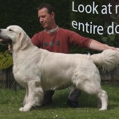 DJTomBbz - Alex Is A Faggot