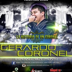Gerardo Coronel-La Silla Dorada
