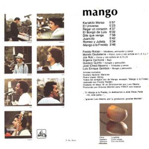 Stream Grupo Mango - El Bongo De Luis by Ymmer | Listen online for free on  SoundCloud