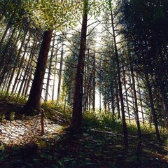 Body Electric - All of the Time (live)