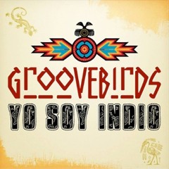 Groovebirds - Yo Soy Indio (Chris Excess Festival Mix) - Preview