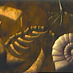 Fossil Fossil Pre-History