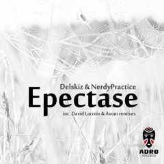 Delskiz & NerdyPractice - Epectase (Original Mix)