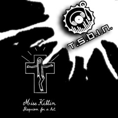 Miss Kittin  - Requiem for a Hit (T.S.B.i.N. Remix)