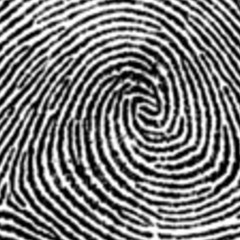 Chris Collins - Inside My Own Personal Hell  FREE DOWNLOAD 320kbps MP3