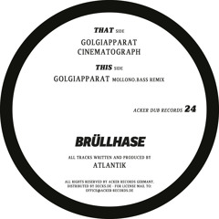 AckerDub024 - ATLANTIK - Golgiapparat (Mollono.Bass-Remix) snippet
